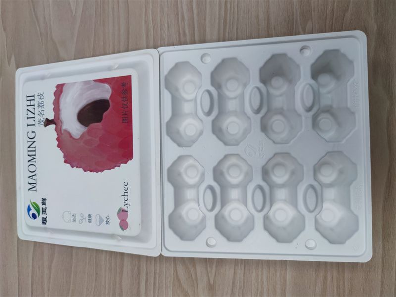 深圳纸托2